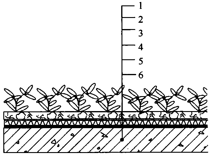 10-221201100TH07.jpg